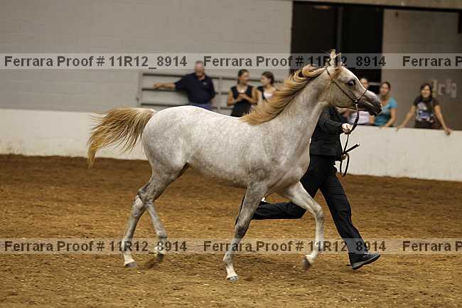 Proof 11r12_8914