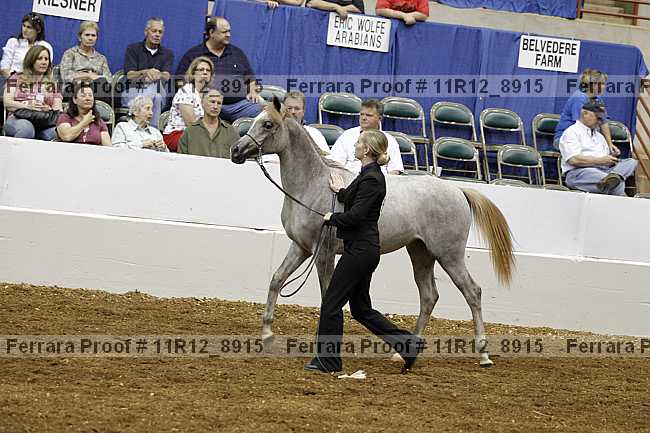 Proof 11r12_8915