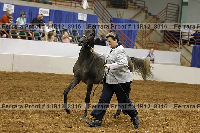Proof 11r12_8916