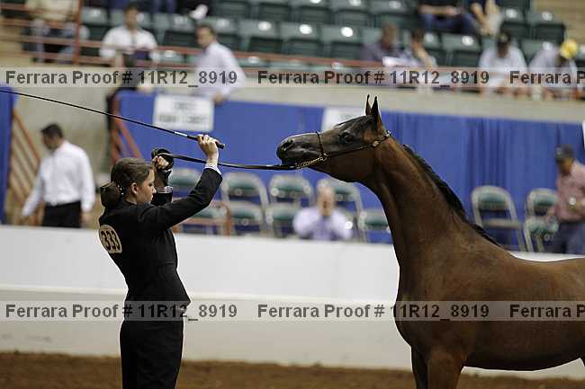 Proof 11r12_8919
