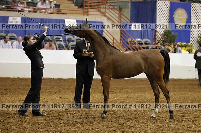 Proof 11r12_8921