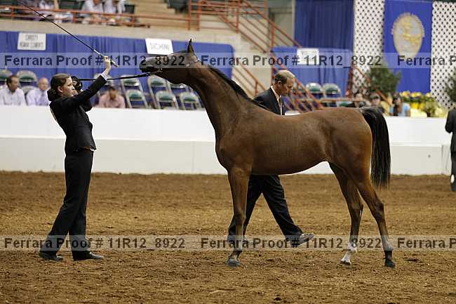 Proof 11r12_8922