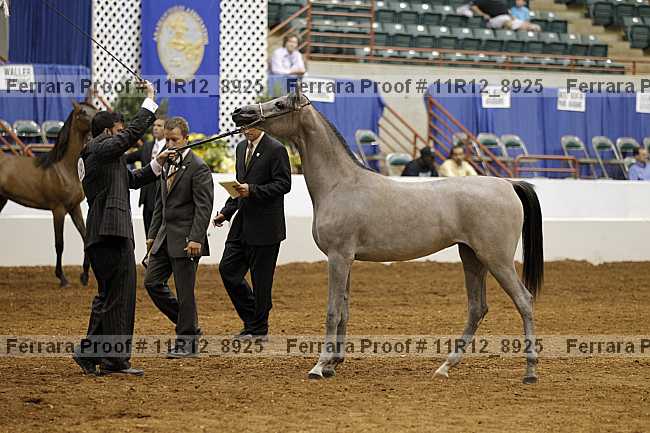 Proof 11r12_8925