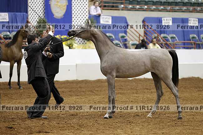 Proof 11r12_8926