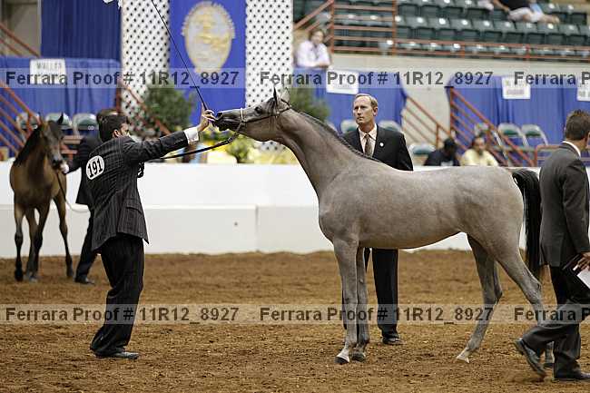 Proof 11r12_8927