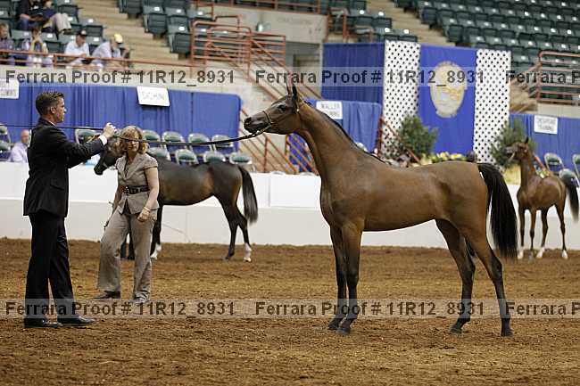 Proof 11r12_8931