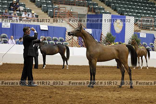 Proof 11r12_8932