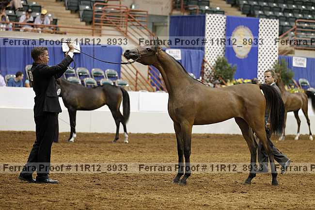 Proof 11r12_8933