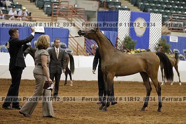 Proof 11r12_8934