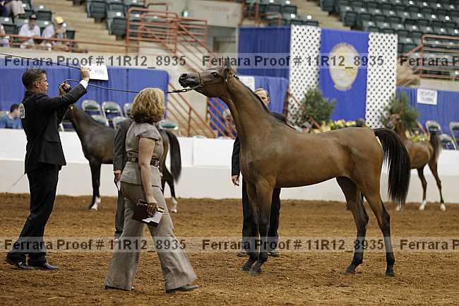 Proof 11r12_8935