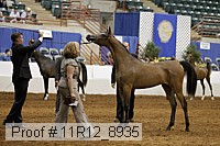 11r12_8935 proof