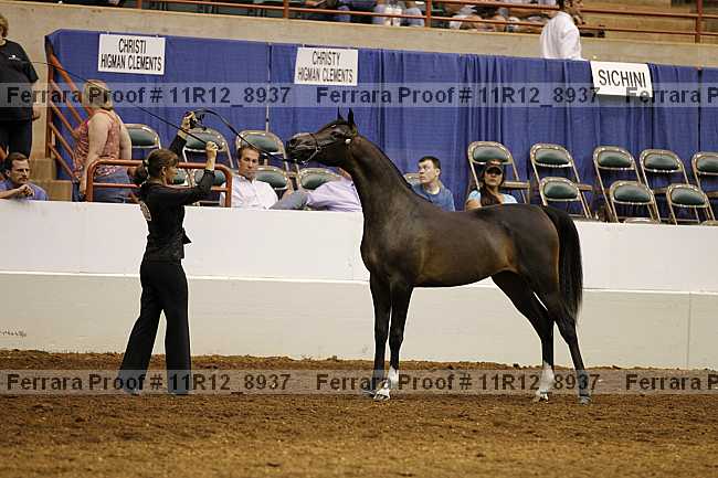 Proof 11r12_8937