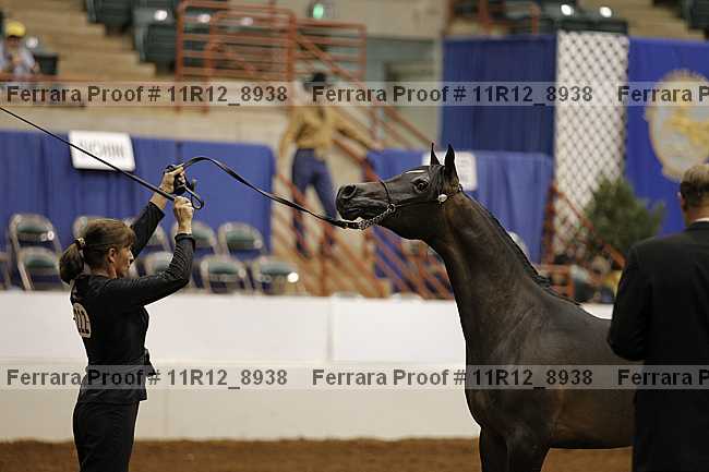 Proof 11r12_8938