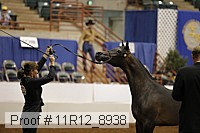 11r12_8938 proof