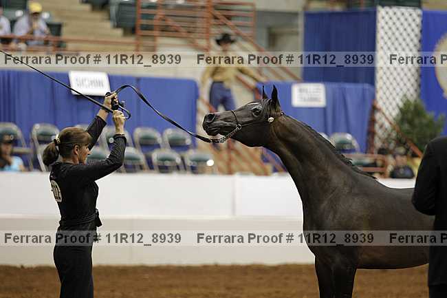Proof 11r12_8939
