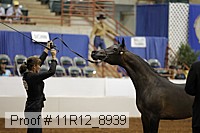 11r12_8939 proof