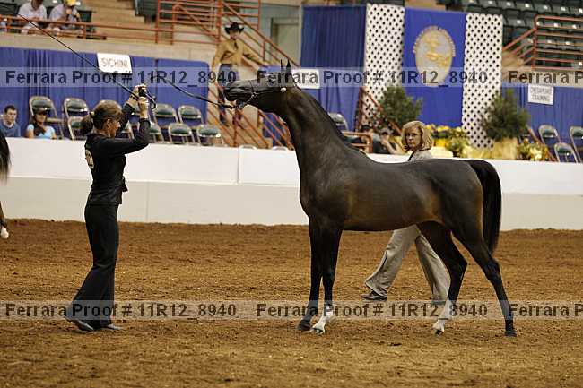 Proof 11r12_8940