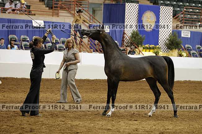 Proof 11r12_8941