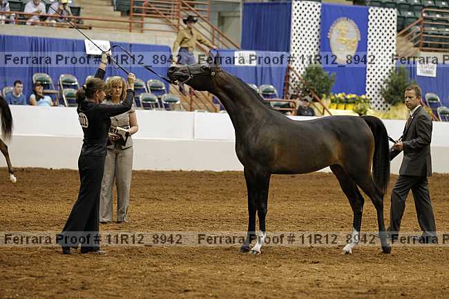Proof 11r12_8942