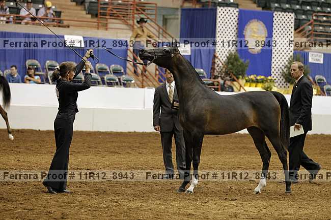 Proof 11r12_8943