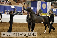 11r12_8943 proof