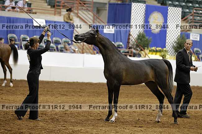 Proof 11r12_8944