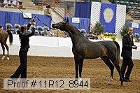 11r12_8944 proof