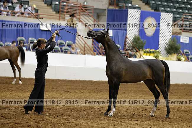Proof 11r12_8945