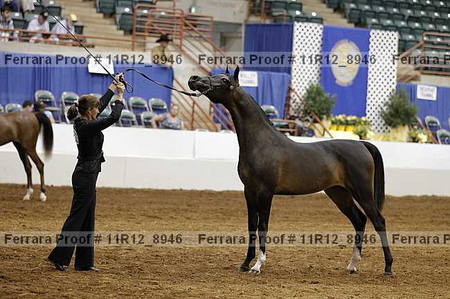 Proof 11r12_8946