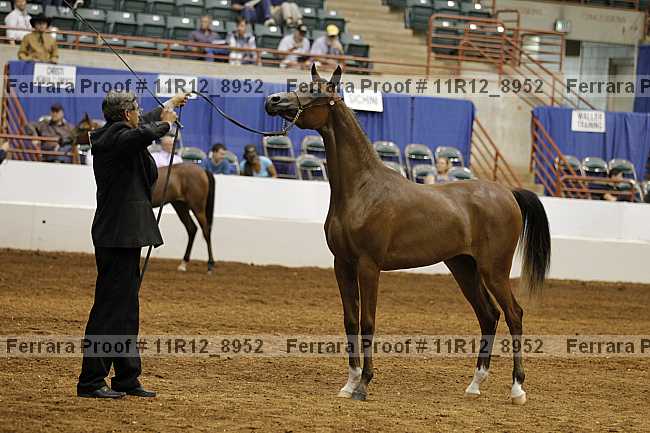 Proof 11r12_8952