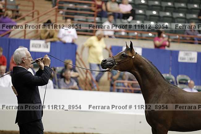 Proof 11r12_8954