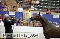 11r12_8954 proof