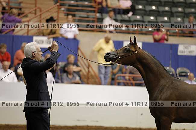 Proof 11r12_8955