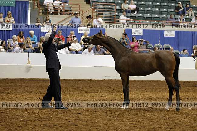 Proof 11r12_8959