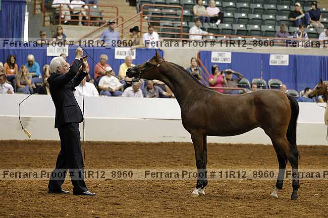 Proof 11r12_8960