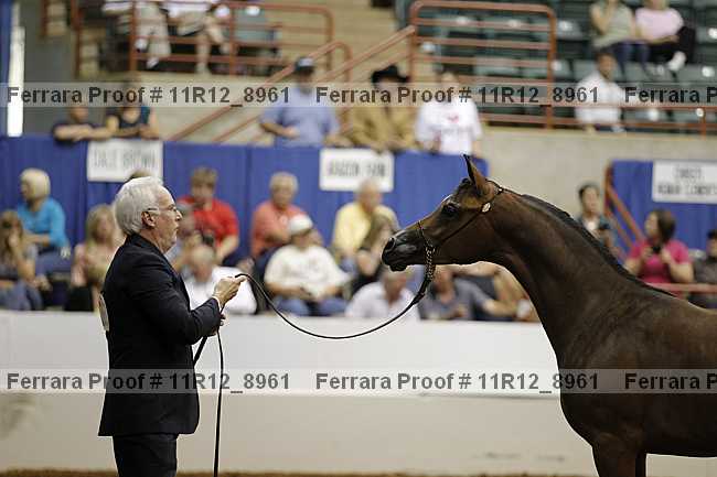 Proof 11r12_8961