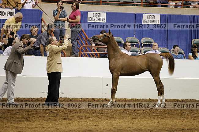 Proof 11r12_8962