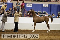 11r12_8962 proof