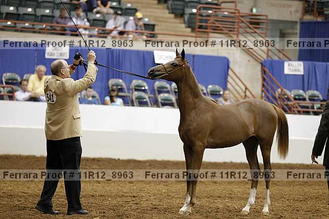 Proof 11r12_8963