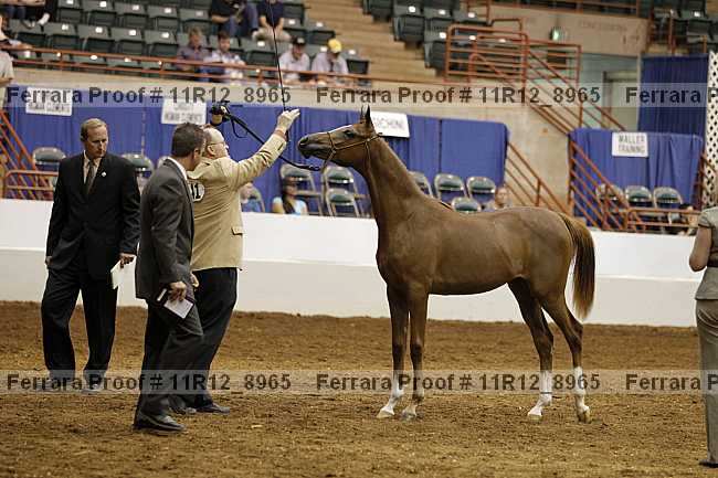 Proof 11r12_8965