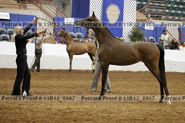 Proof 11r12_8967