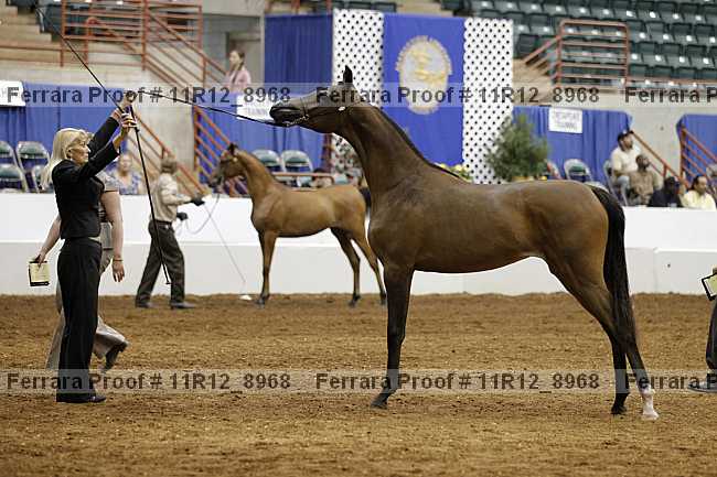 Proof 11r12_8968