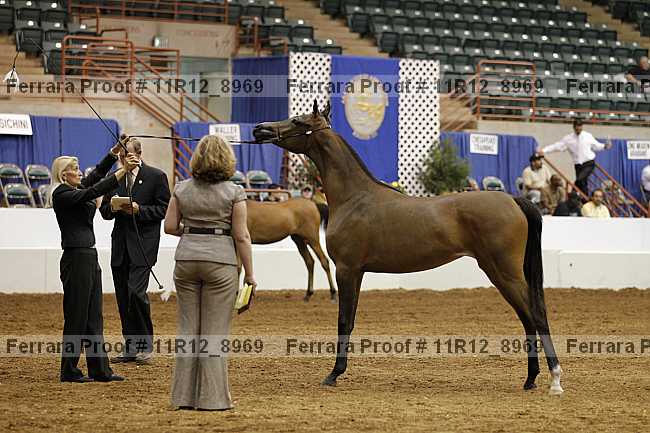 Proof 11r12_8969
