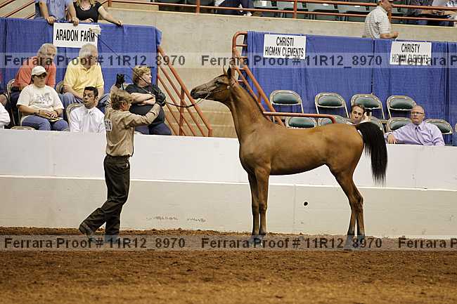 Proof 11r12_8970