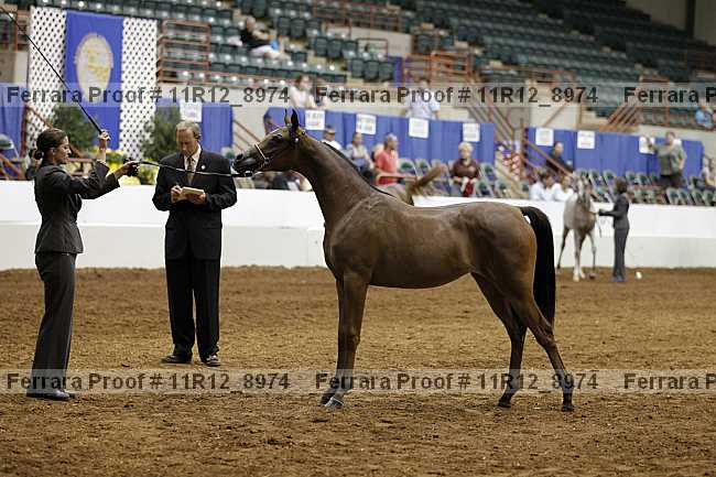 Proof 11r12_8974