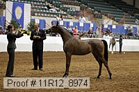 11r12_8974 proof