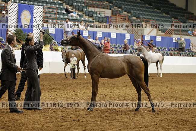 Proof 11r12_8975