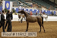11r12_8975 proof