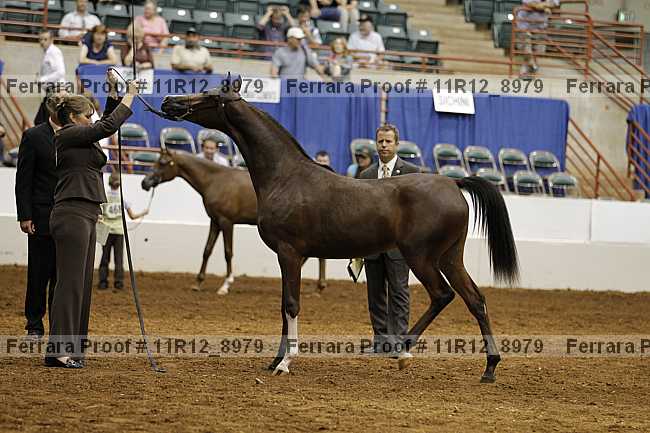 Proof 11r12_8979