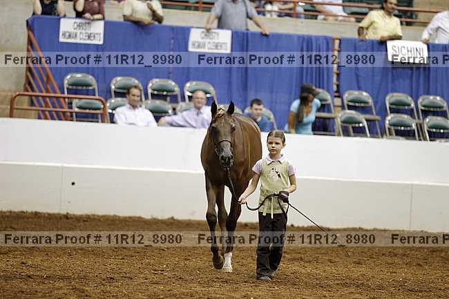 Proof 11r12_8980